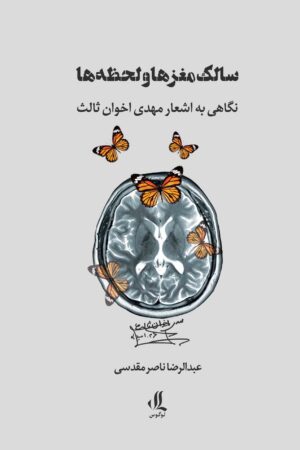 سالک-مغزها-و-لحظه-ها-1