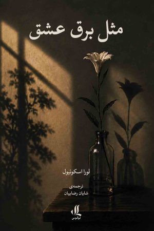 مثل-برق-عشق